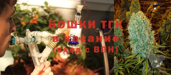 индика Абдулино