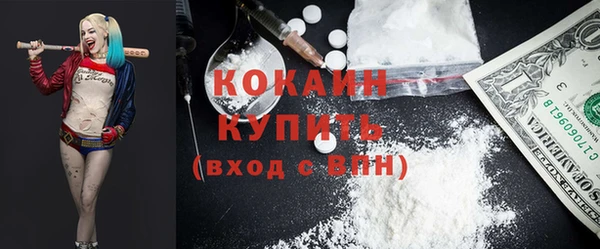 трава Осинники